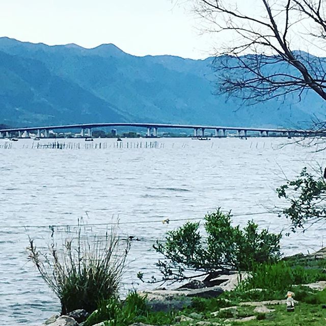 ちょっと拍子抜けした琵琶湖大橋想像してたよりかなり短かった#バイク #バイクのある風景 #ツーリング #琵琶湖 - from Instagram